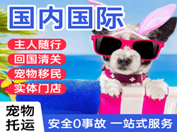 玉树巴塘空运国际宠物托运 【国